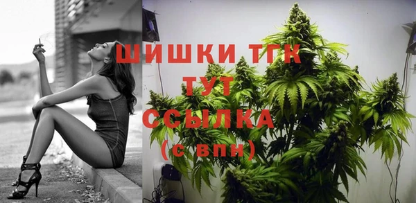 эйфоретик Абинск